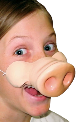 Generic Animals Pig Nose Accessory