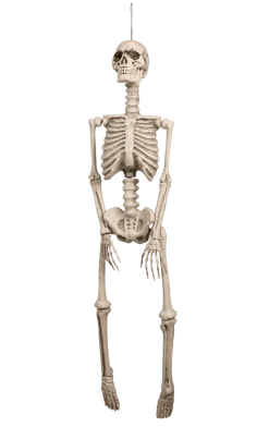 Boland All Themes Skeleton Decoration