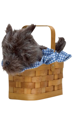 Rasta Imposta All Themes Doggie Basket Handbag Accessory