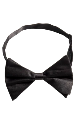 Bristol Novelty Black Bow Tie All Themes