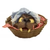 Rubies Riding Hood Wolf Head Basket Accessory 1 Rubies Riding Hood Wolf Head Basket Accessory