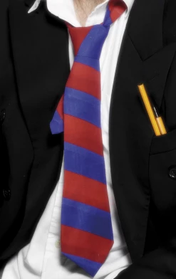 Smiffys Mens Costumes Red And Blue School Tie