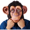 Palmer Comical Chimp Facepiece