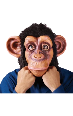 Palmer Comical Chimp Facepiece