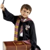 Rubies Childrens Harry Potter Costume And Trunk Set All Themes