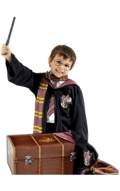 Rubies Childrens Harry Potter Costume And Trunk Set All Themes