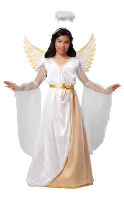 California Costumes Childrens Guardian Angel Costume