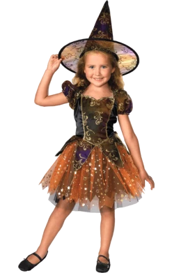 Rubies Child Halloween Witch Costume