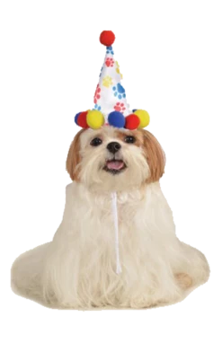 Rubies All Themes Paw Print Dog Hat