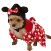 Rubies Minnie Mouse 2 Rubies Minnie Mouse