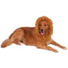 Rubies Lion Mane Dog Accessory 1 Rubies Lion Mane Dog Accessory