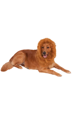Rubies Lion Mane Dog Accessory