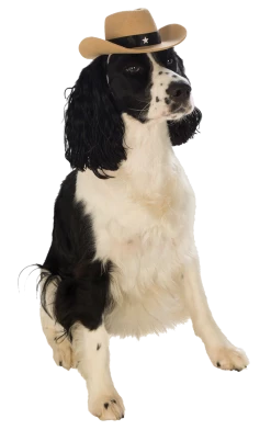 Rubies Brown Cowboy Dog Hat