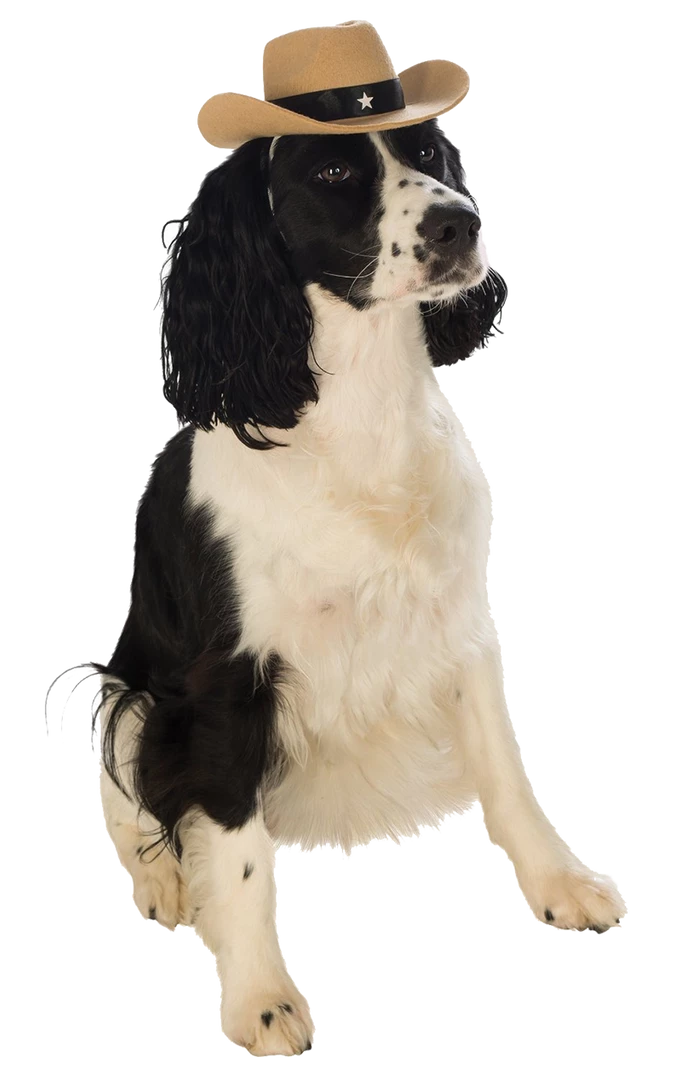 Rubies Brown Cowboy Dog Hat 3 Rubies Brown Cowboy Dog Hat