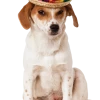 Rubies Sombrero Hat Dog Costume