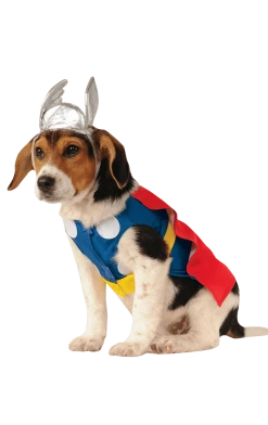 Rubies Thor Dog Costume All Themes