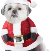 California Costumes Santa Paws Christmas Dog Costume All Themes