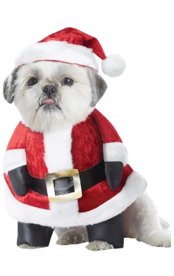 California Costumes Santa Paws Christmas Dog Costume All Themes