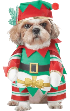 California Costumes Elf Pup Dog Costume All Themes