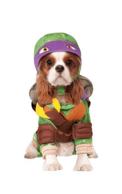 Rubies All Themes Ninja Turtles Donatello Dog Costume