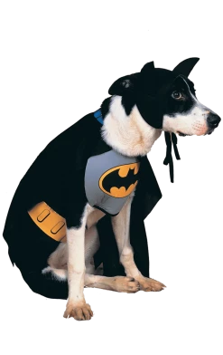 Rubies Batman Dog Costume