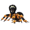 California Costumes Spider Dog Costume 1 California Costumes Spider Dog Costume