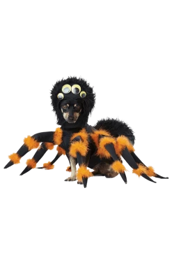California Costumes Spider Dog Costume