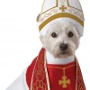 California Costumes Holy Hound Dog Costume