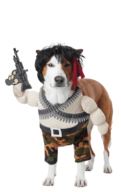 California Costumes Ram-Bone Dog Costume