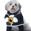California Costumes Puppy Groom Dog Costume All Themes