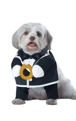 California Costumes Puppy Groom Dog Costume All Themes
