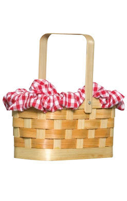 Rasta Imposta Gingham Basket Prop