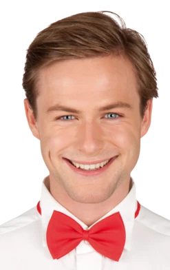 Boland Red Bow Tie All Themes