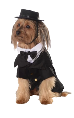 Rubies All Themes Dapper Dog Costume