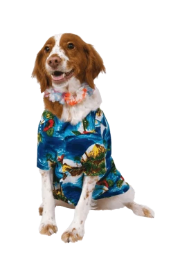 Rubies Howliday Hawaiian Dog Costume All Themes