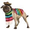 Rubies All Themes Mexi-canine Dog Costume