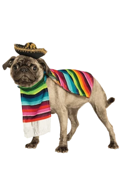 Rubies All Themes Mexi-canine Dog Costume