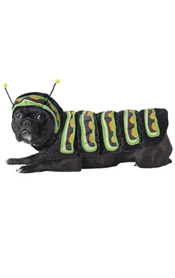California Costumes Caterpillar Dog Costume
