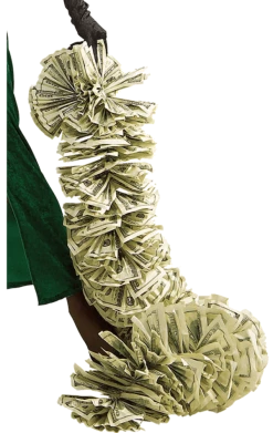 Rubies Dollar Money Boa Accessory