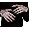 Palmer All Themes Adult Ghoul Halloween Hands