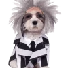 Rubies Beetlejuice Halloween Dog Costume All Themes