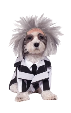 Rubies Beetlejuice Halloween Dog Costume All Themes