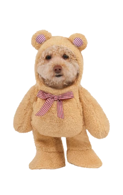Rubies All Themes Walking Picnic Teddy Bear Dog Costume