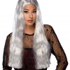 Rubies Adult Grey Spell Caster Wig All Themes