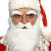 Mustaches Santa White Beard And Eyebrows Set All Themes