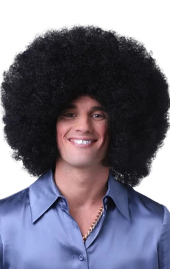 Generic Large Black Afro Wig All Themes