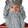 California Costumes Grey Biblical King Wig And Beard