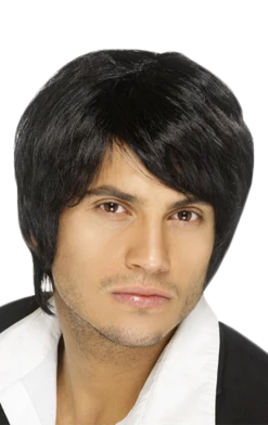 Smiffys All Themes Boy Band Wig (Black)