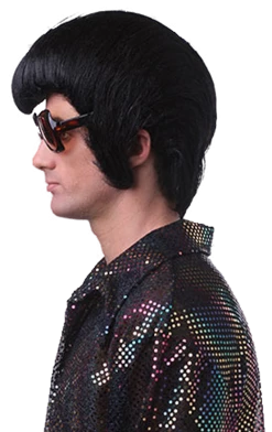 Generic Elvis Rocker Wig