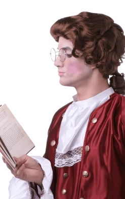 West Bay Inc Brown Colonial Wig